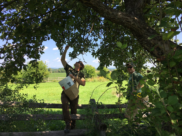 Frequently Asked Questions