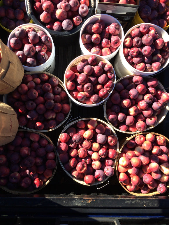 OMG Apples Partners and Key Participants